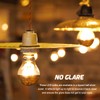 Half Chrome Light Bulb, Gold Tipped Light Bulb Dimmable, 6W
