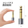 3.5mm to 6.35mm Conversion Plug RIKSOIN (Set of 2) Stereo