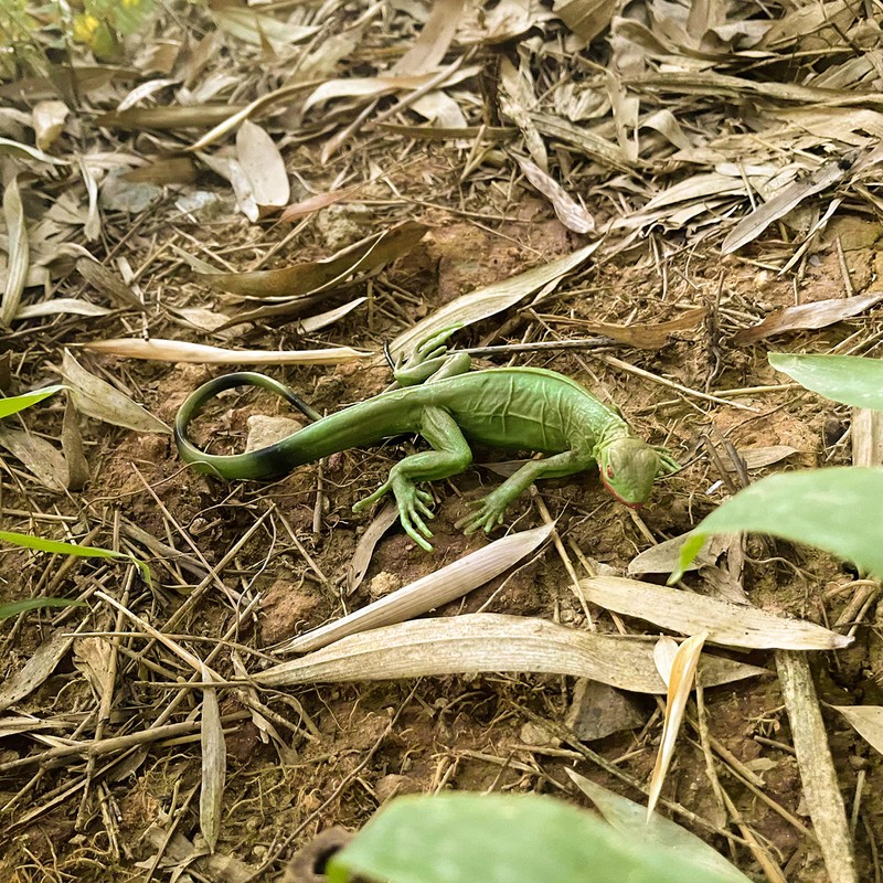 NAKIMO Iguana Animal Figurine Lizard Toy Realistic Reptile Figures for
