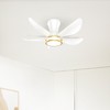 DAMINY 30 Inch White and Gold 5 Blade Ceiling Fan