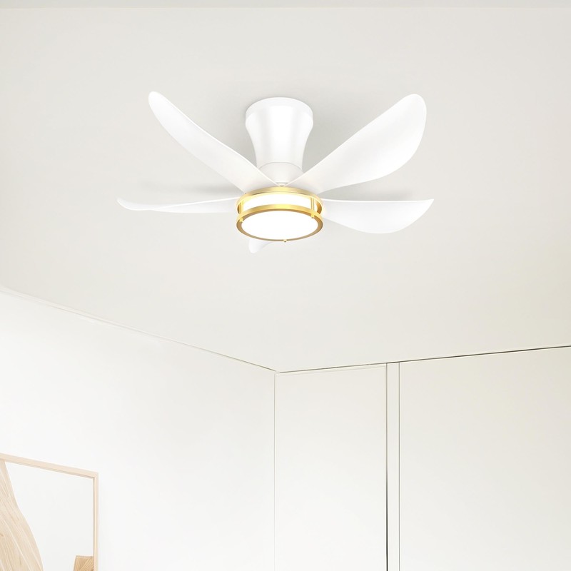 DAMINY 30 Inch White and Gold 5 Blade Ceiling Fan