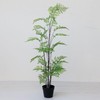 Creative Co-Op Faux Fern Tree in Plastic Pot, Green