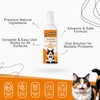 Furrbites Advanced Cat Training & Anti-Scratch-Bite Spray | Safe &