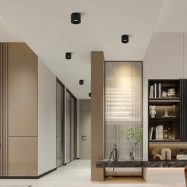 QIBANG 12W 5CCT Modern Led Ceiling Spotlights Indoor Dimmable 2700K-3000K-3500K-4000K-6000K Selectable,4.72" Cylinder Light CRI 95+ Mini Led Spot Lights Fixtures,Black Ceiling Lighting 2 Pack