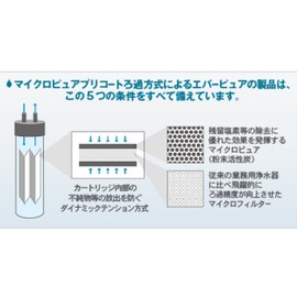 The Everpure Type Water Filter Cartridge 4dc