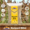 Rani Barnyard Millet (Echinochloa Esculenta Frumantacea) 14oz (400g)