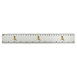 'Cute Parrot' 30cm (12 Inch) White Plastic Ruler (RL00092356)