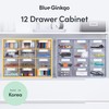 Blue Ginkgo Large 12-Drawer Cabinet – Stackable Clear Organizer for