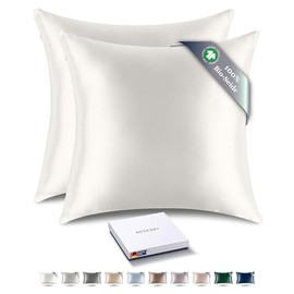 RENESSY Cushion Covers Made of 100% Organic Silk, 40 x 40 cm, Pack of 2, 22 Momme Mulberry Silk, Grade 6A, Oeko-Tex Certified in Germany, Luxury for Hair and Skin (Natural Silk, Off-White)
