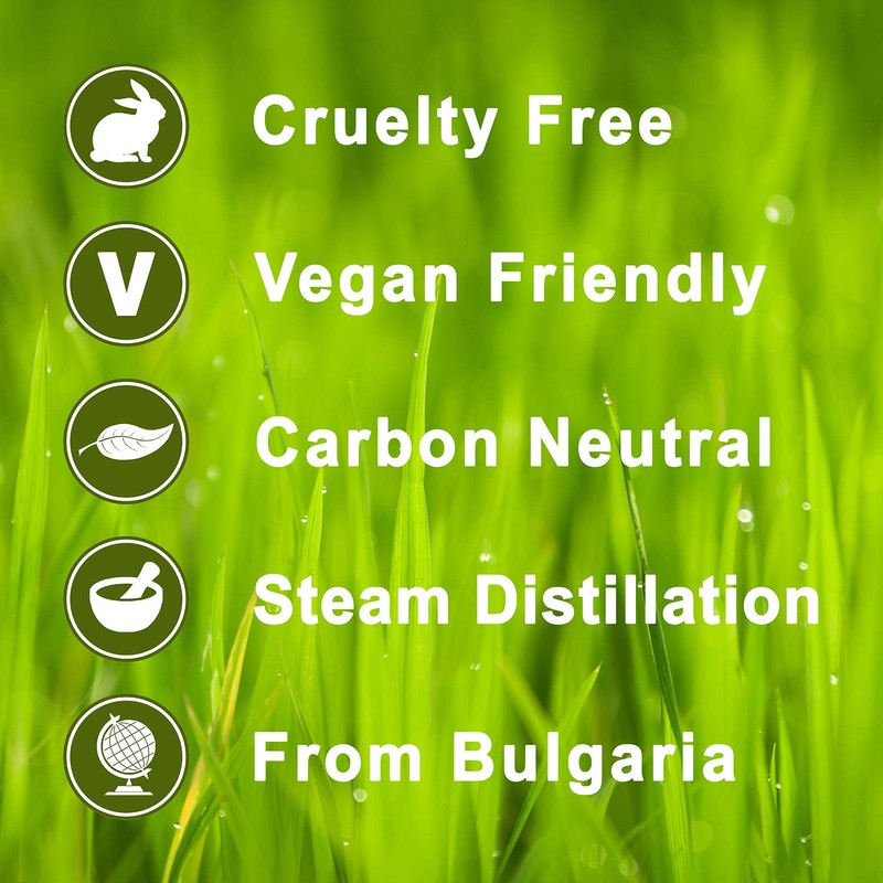 Thyme 100% Pure Essential Aromatherapy Oil 10ml