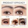 10 ml Waterproof Eye Cosmetics, Mascara for Women, Black