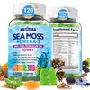 Sea Moss Gummies + Omega-3 Vegan Supplement for Man Women,