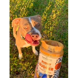 Bark Bistro Company, Superberry Snoot + Barkin Banana + Pumpkin Pup, 100% Natural Dog Peanut Butter, Healthy Dog Treats - Made in USA (Set of 3 / 17oz)