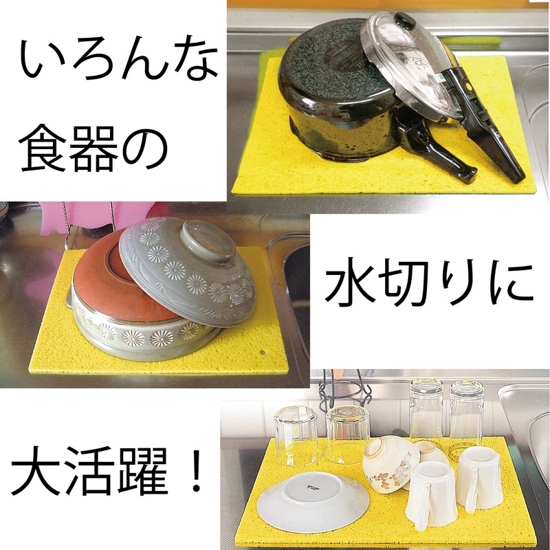 Nippon Insole Industry Made in Japan Water Absorption Quick Drying