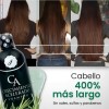 3 Shampoo Crecimiento Acelerado Jehesmipa Producto Original