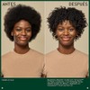 Aveda Be Curly Advanced Acondicionador Hidratante | cabello rizado