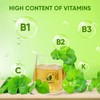 NMPT Centella Asiatica Leaf Tea, 100% Hand Pick, Organic Herbal