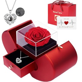 Preserved Real Rose with I love you Necklace 100 Languages, Gifts for Girlfriend, Women, Mom, Wife, Gifts Idea on Christmas, Valentine's Day, Mother's Day, Birthday, Anniversary, Thanksgiving