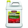 PBI GORDON 8671076 Gallon Concentrate Weed Killer