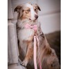 Soft Leather Bowtie Dog Collar - Adjustable Cute Bow Tie