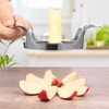 LIIGEMI Apple Slicer, 8-Slice Apple Slicer and Corer,Sharp and Sturdy,Easy