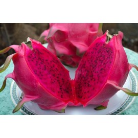 Home-Growth Sweet Red Dragon fruit/ Pitahaya - 60 Seeds 2025 - USA