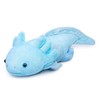 Tiny Heart Axolotl Weighted Plush, 31 Inch Super Cute Blue