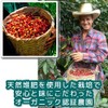 Coffee Beans, Freshly Roasted Machu Picchu Sky (Peru), No Pesticides,