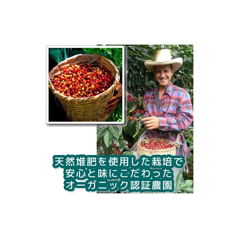 Coffee Beans, Freshly Roasted Machu Picchu Sky (Peru), No Pesticides,