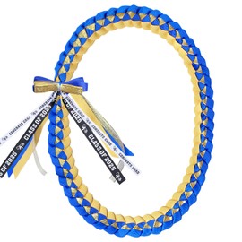 TIEBLU Graduation Leis Class of 2025,Ribbon Leis for Graduation,Braided Necklace Money Leis Graduation Gifts for Middle School,High School,College Party Decorations