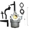LIZAPUS Carburetor Compatible with B & S 342cc 16.50 1650