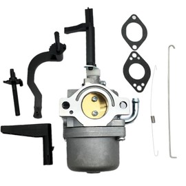 LIZAPUS Carburetor Compatible with B & S 342cc 16.50 1650 Tiller Generator Gas Engine Replacement Carb