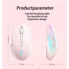 holy sword M800 Single-Mode Wireless Battery Level Display Mouse, 2.4G