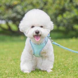 KUVEELA PET Harness, Lead Set, For Small Dogs and Cats, Medium Dogs, Towing Rope, Bib, Torso, Dog Wear, Includes Reflective Light Strip, Mesh, Stylish, Adjustable, Easy to Put On and Take Off (Green,