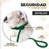 LOS LADRIDOS DE MEXICO Correa para Perro Premium Paseo y
