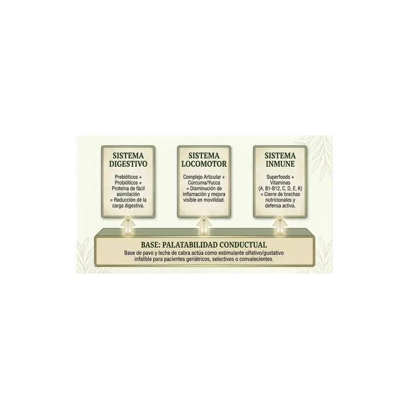 Nutriblend Suplemento Para Perro, Digestión Y Articulaciones