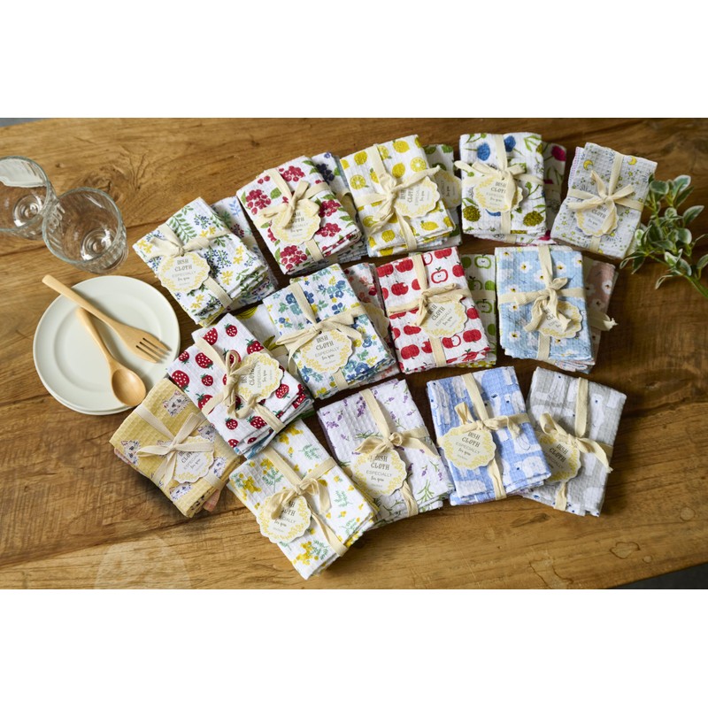 REP Cony 549520 BL 2-Pack Dish Cloth