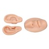 Silicone Ear Model Novice Simulated 3D Nose and Mouth Model