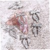 Beavorty 100pcs Bow Knot Nail Charms Adorable Manicure Stickers for