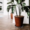 Round Plant Stand with Lockable Wheels, Heavy Duty for Indoor