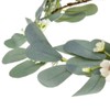 Small Flower Crown Headband Boho Bridal Flower Wreath Eucalyptus Green