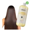 Shampoo Efecto Lacio Celesty 1lt