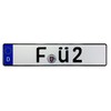 European German License Plate - F Ü 2 (Plate Only)