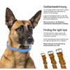 Schnüffelfreunde Leather Dog Collar