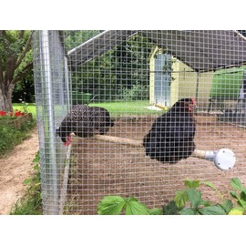 Omlet Chicken Perch | Enhance Your Outdoor Chickens Run with a Fun Accessory | Naturally Weather Resistant Perch with an Innovative Bracket Design | Eucalyptus Wood | 3ft