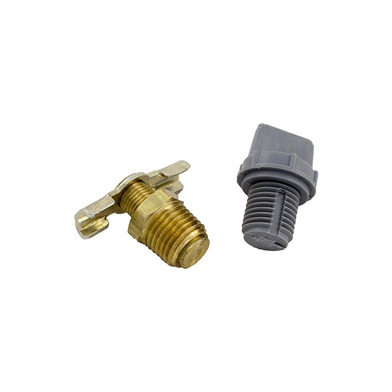 Raypak 006721F Drain Plug Capron