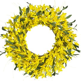 LOKEISNA Spring Wreaths for Front Door, 24'Yellow forsythia Wreath, Spring Summer Wreaths for Front Door Outside, Hand Made Artificial Door Wreath for Front Door Window Wall Farmhouse Décor Gift