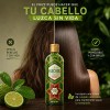 Shampoo Huichol Bergamota 400 ml Crecimiento y Anti Frizz