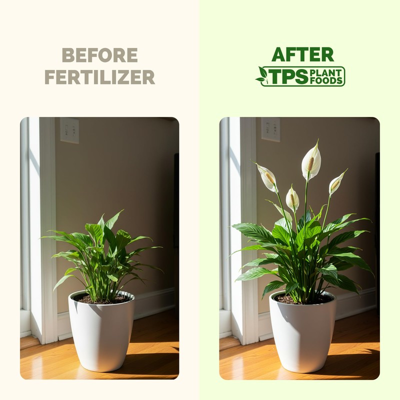 Peace Lily Fertilizer, Complete Liquid Peace Lily Plant Food, 8