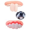 WLngtv 2 Pieces White Funny Dog Teeth Toy, Buck Teeth